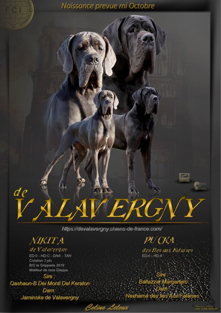 DE VALAVERGNY - Bientôt des bébés bleus et noirs de bleu !