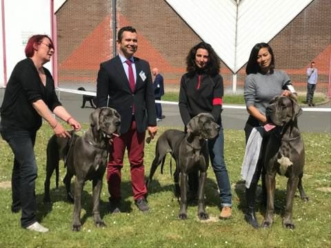 DE VALAVERGNY - Résultats CACIB Amiens