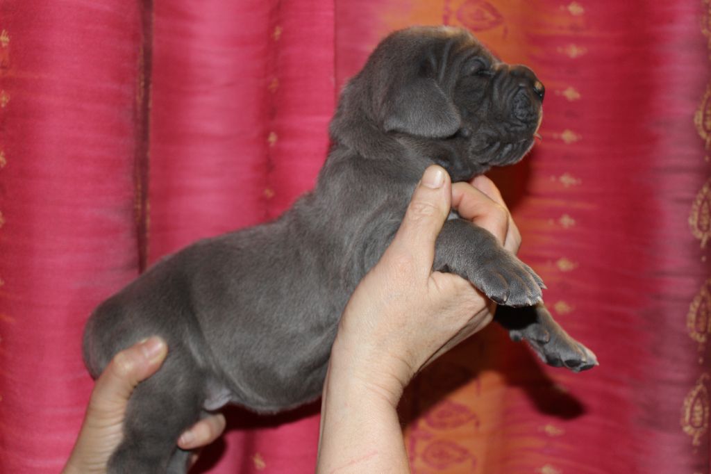 DE VALAVERGNY - Photos des bébés à 15 jours !