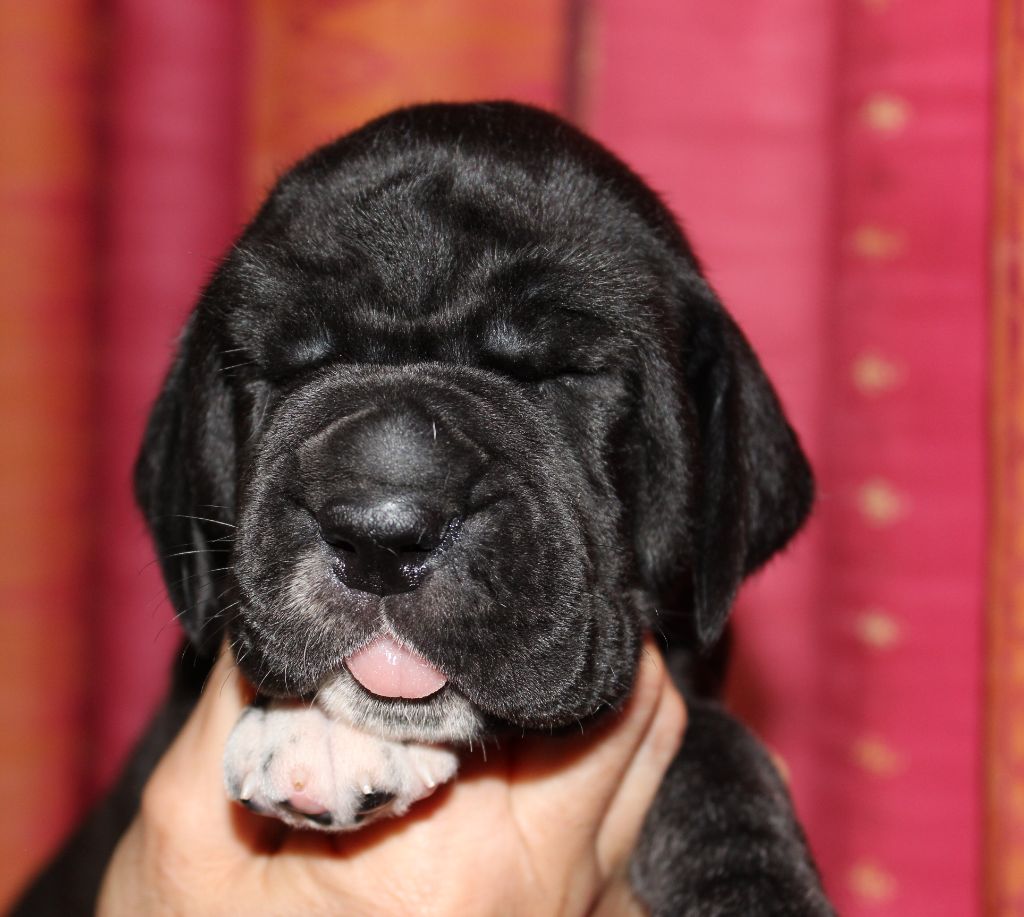 Nouvelles photos des bébés à 3 semaines, ça pousse !!!