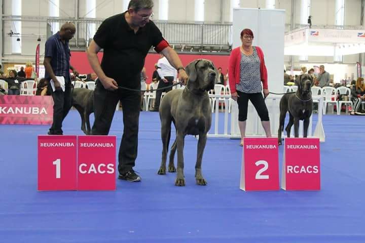 DE VALAVERGNY - Résultats Championnat de France 2017