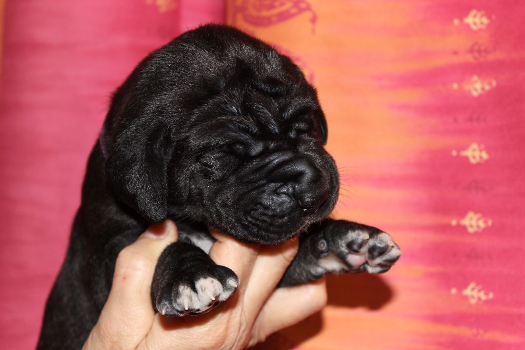 Nouvelles photos des bébés à 15 jours 