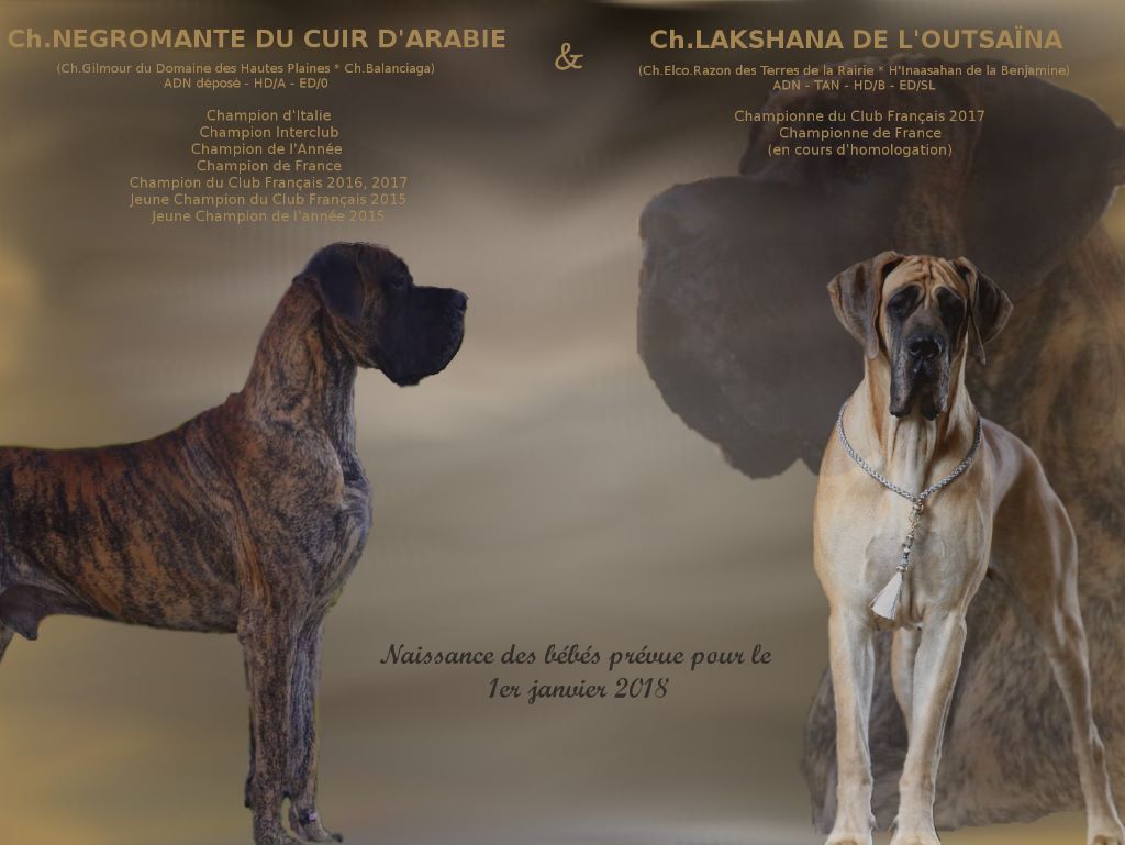 DE VALAVERGNY - Lakshana attend des bébés !!!